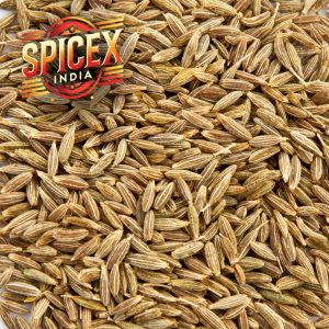 Cumin Seeds