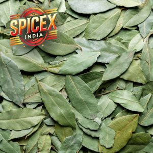 Bay Leaves